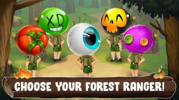 动物园之路的图册