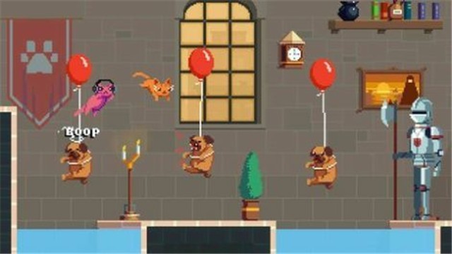 惊慌的猫的图册