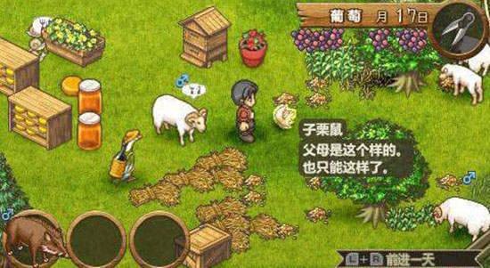 psp欢迎来到绵羊村汉化版的图册