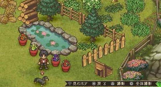 psp欢迎来到绵羊村汉化版的图册