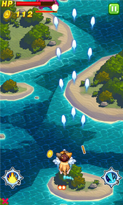 宠物战斗机的图册