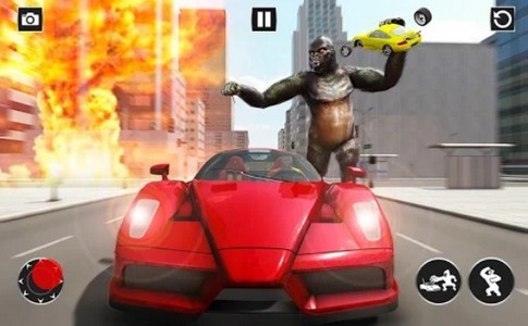 金刚横冲直撞的图册