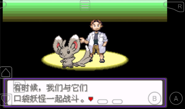 口袋妖怪漆黑的魅影5.0手机版的图册