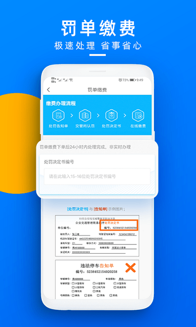 玩头条查违章手机版的图册