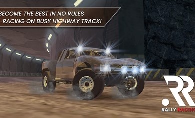 拉力赛车：纳斯卡的图册