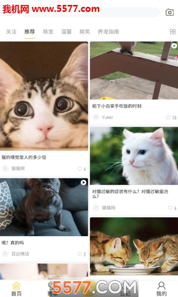 小宠伴你官方版的图册