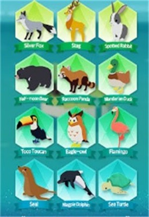 森林小岛的图册