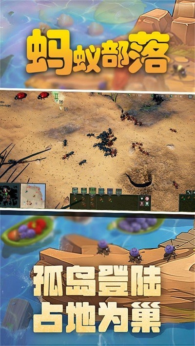 蚂蚁部落的图册