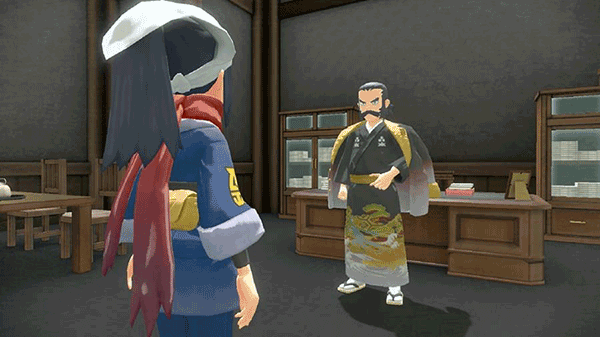 宝可梦阿尔宙斯传说的图册