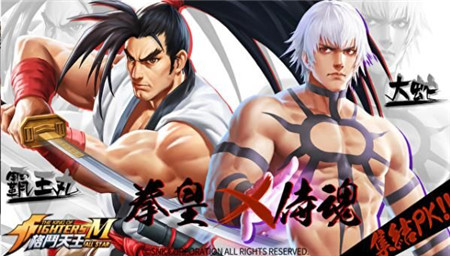 格斗天王M的图册