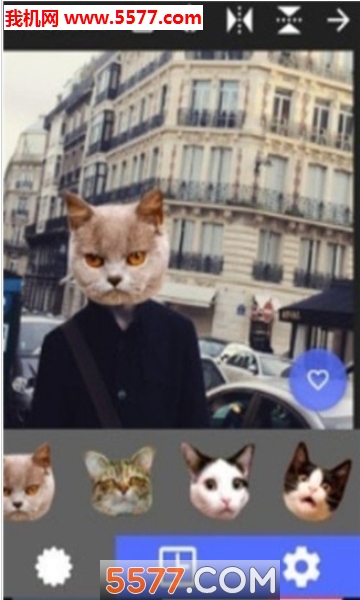 CatStickers照片猫头贴纸安卓版的图册