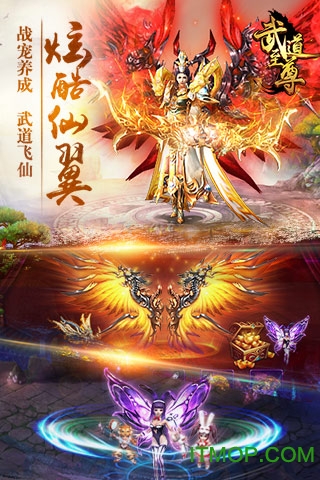 武道至尊游戏微信登录版的图册