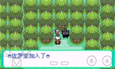 口袋妖怪漆黑的魅影5.0中文版的图册