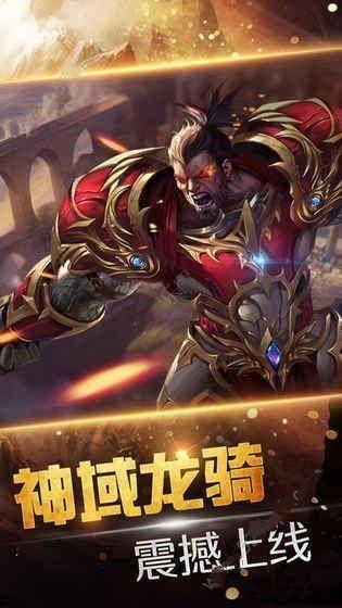 龙骑士之光的图册