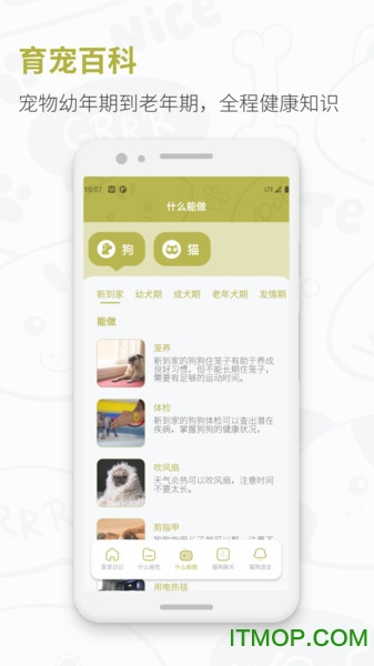 猫狗实时翻译器的图册