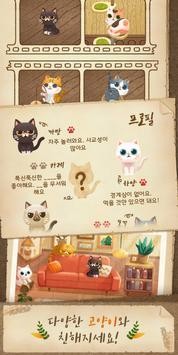 神秘森林猫的图册