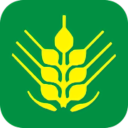 国家粮油统计直报系统