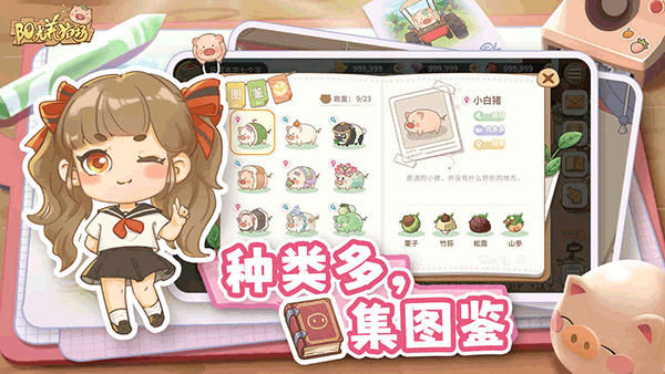 阳光养猪场的图册