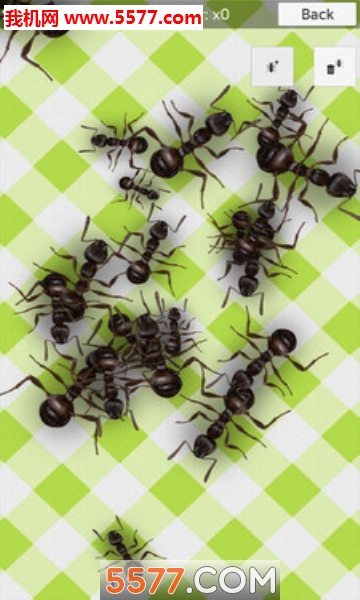 没有更多的蚂蚁手机版的图册