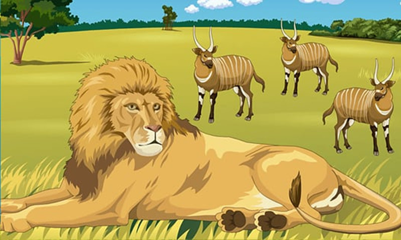 动物世界单机版的图册