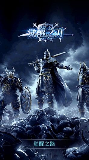 觉醒之刃的图册