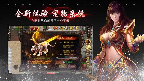 聚奇沉默的图册