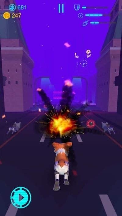 赛博狗最新版的图册