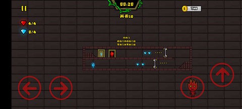 森林冰火人2双人版的图册