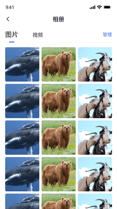 密盒虚拟机app的图册