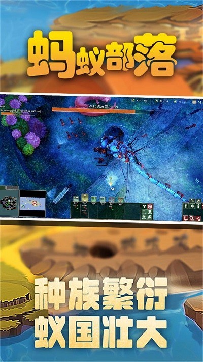 蚂蚁部落的图册