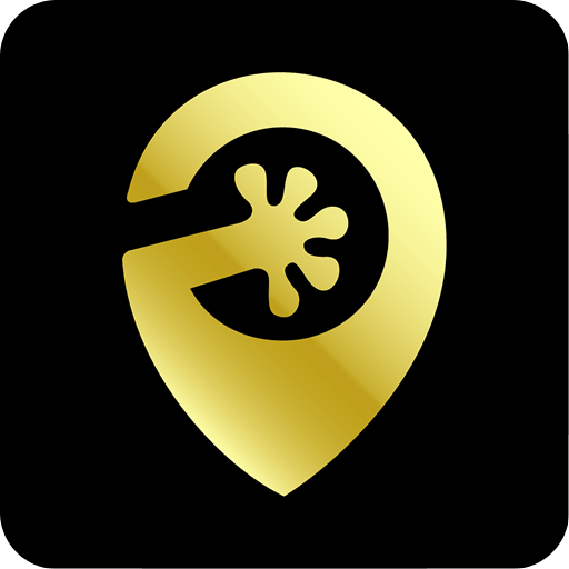 壁虎停车官方版