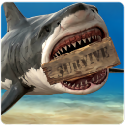 木筏生存模拟器多人联机版正版