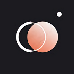 chiccam相机华为版