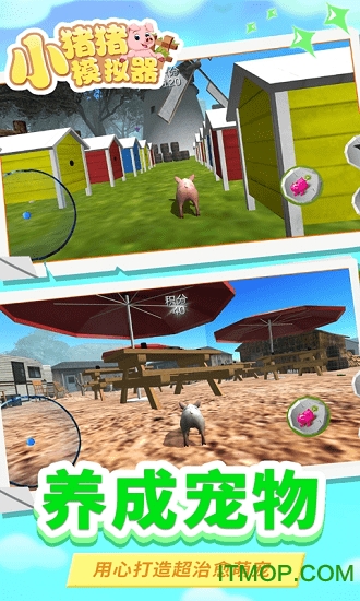 小猪猪模拟器游戏的图册