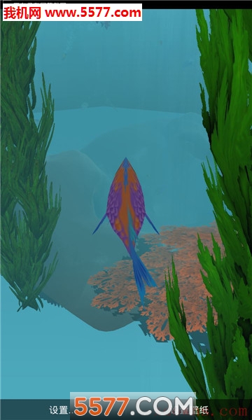 炫美海洋动态壁纸官方版的图册