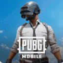 PUBGM国际服
