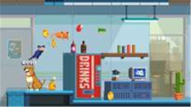 惊慌的猫的图册