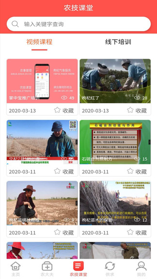 枸杞掌中宝官方的图册