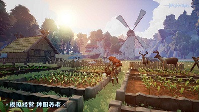 符文之路手机版的图册