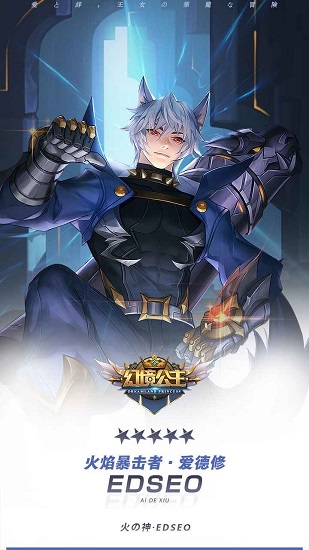 幻境公主游戏的图册