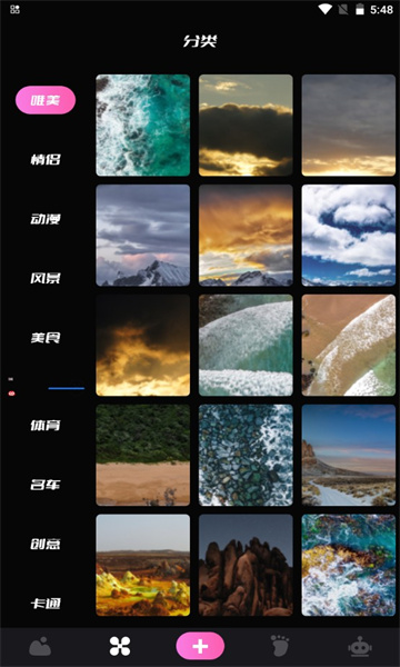 小鸟主题壁纸安卓版的图册