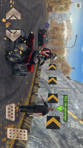 沙滩出租车的图册