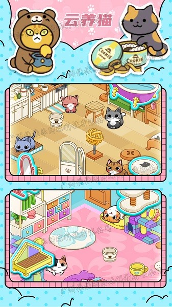 萌宠模拟器之猫咪乐园手游的图册