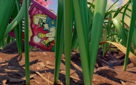 地表生存的图册