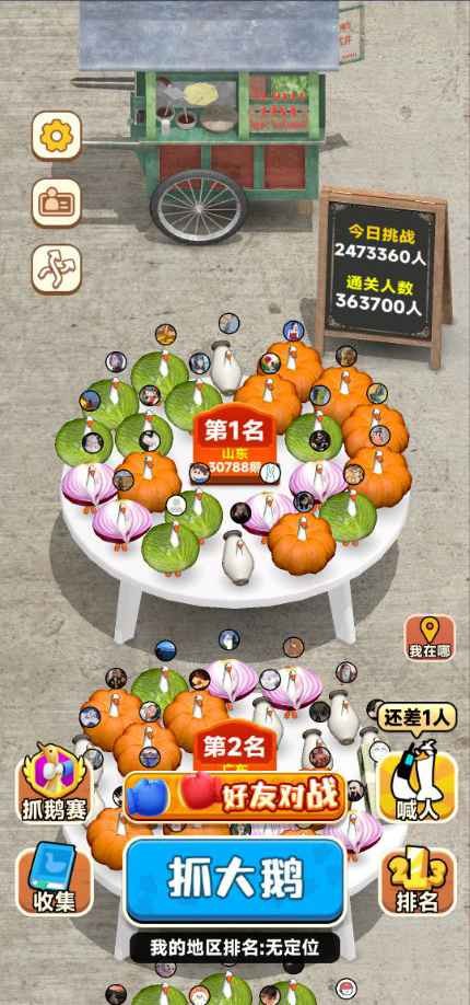 抓大鹅正版的图册