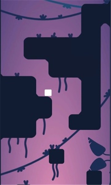 奔赴顶点的图册