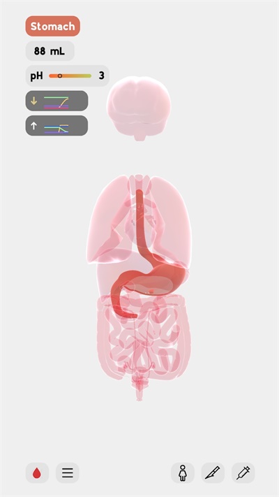 生命life官网下载最新版本的图册