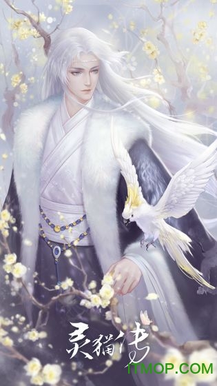 灵猫传全剧情解锁破解版的图册