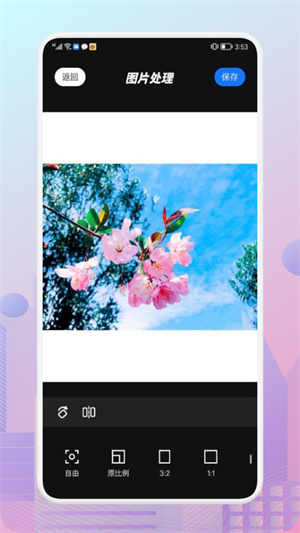 蜜蜂剪辑的图册
