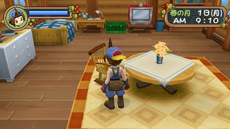 牧场物语蜜糖村与大家的心愿游戏的图册